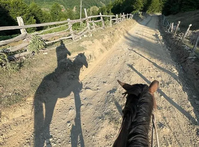Kelmendi Lëpushë
